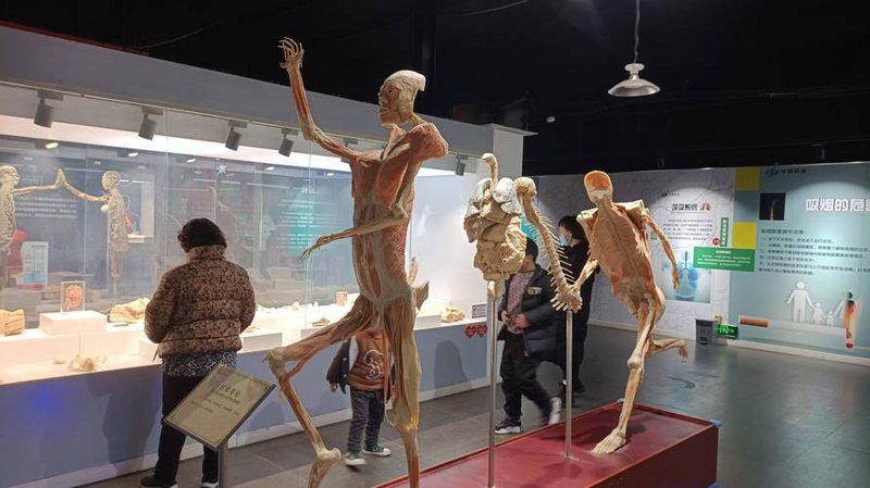 增塑剂行业动态：推动现代材料科学迅猛发展