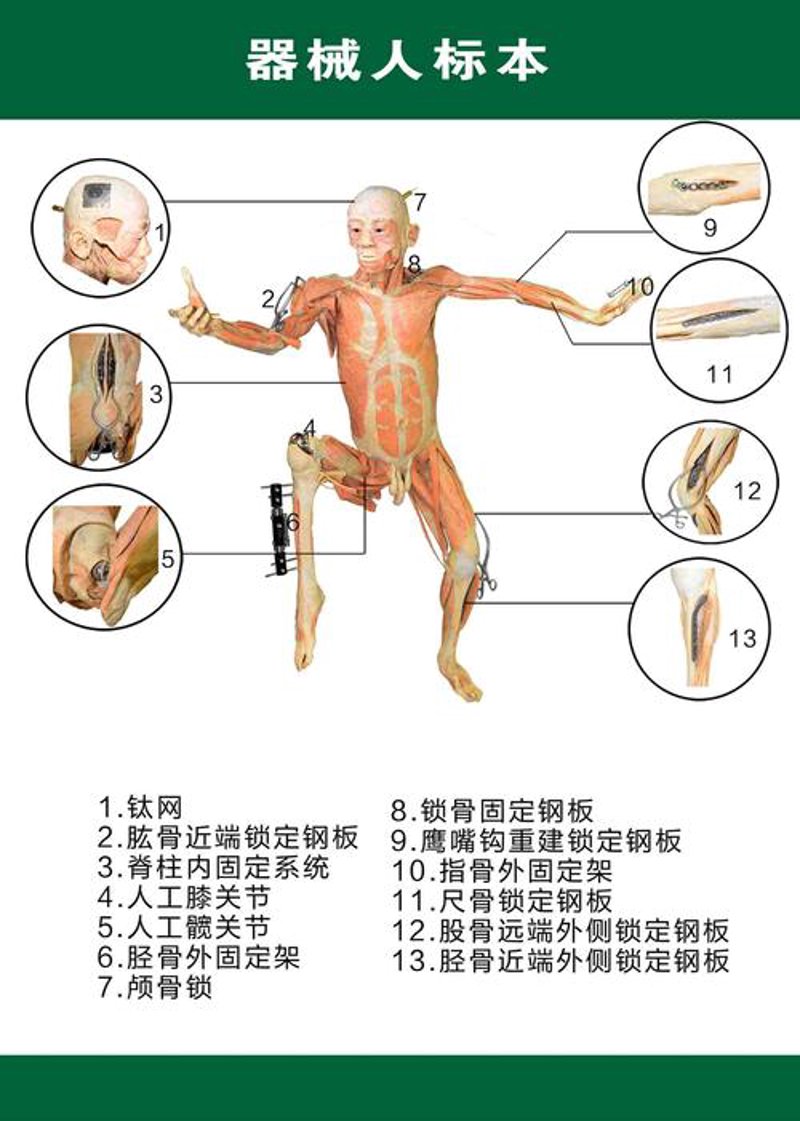 新乡塑化