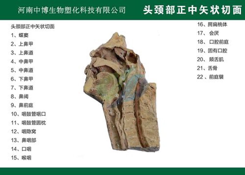 新乡塑化行业的最新发展动态